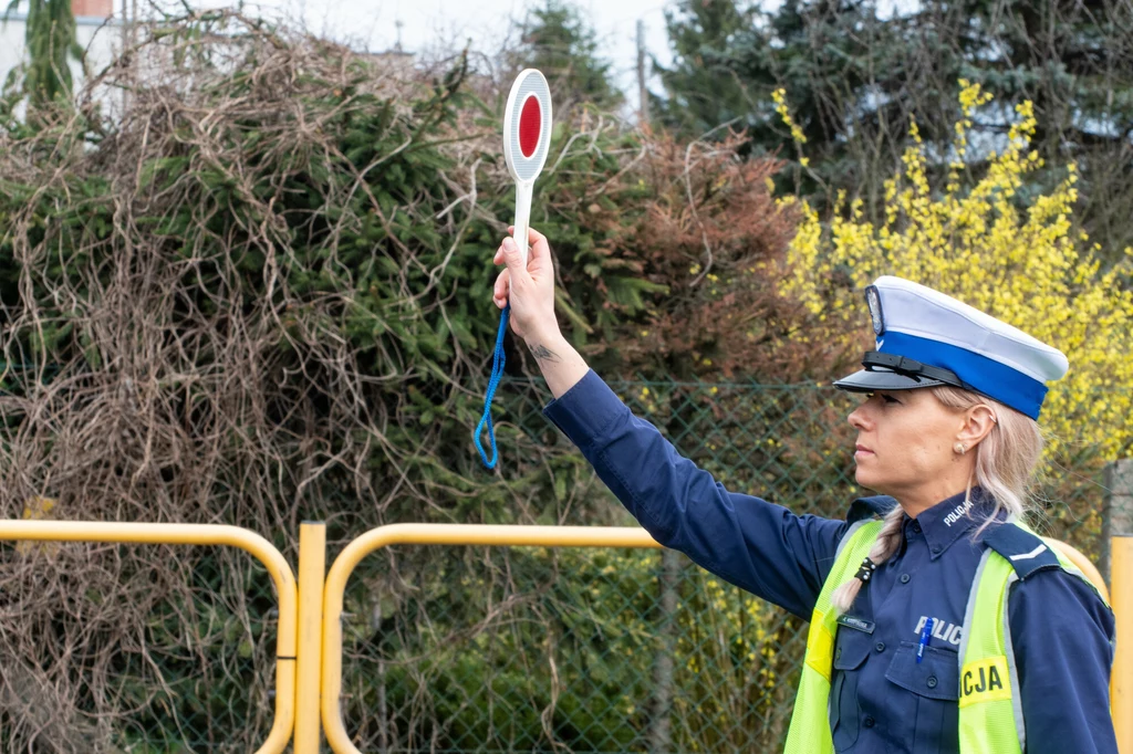 Jak sprawdzić, ile mam punktów karnych? Trzy sposoby