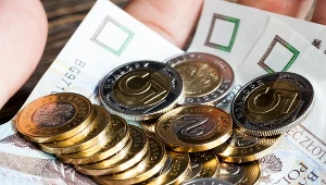 Kursy walut. Ile kosztują euro, dolar i frank we wtorek, 19 marca?