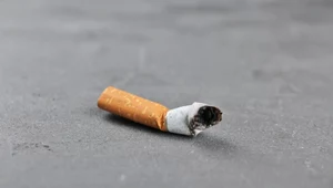 Chcą zakazać papierosów z filtrem. "Zmniejszyłaby się liczba palaczy"