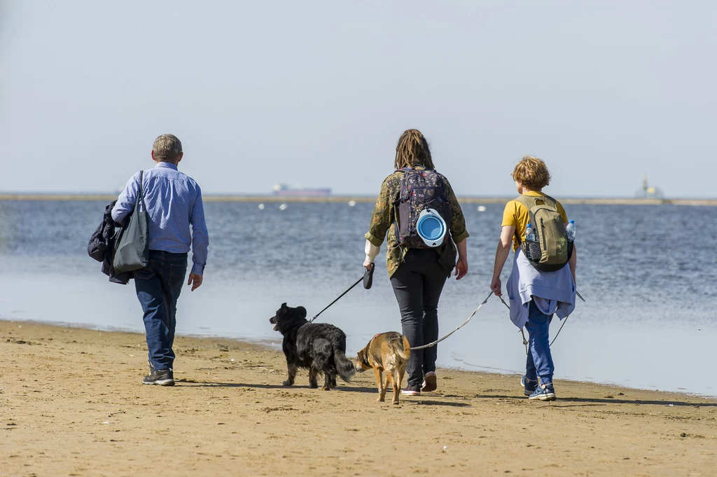 Radni z Ustronia Morskiego nie chcą psów na plaży Radni z Ustronia Morskiego nie chcą psów na plaży