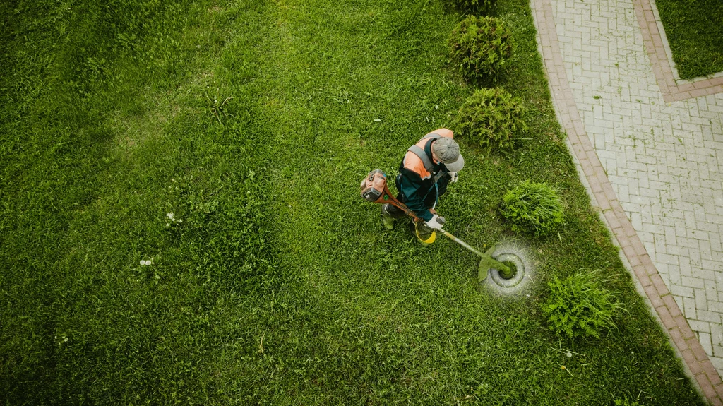 Koszenie trawnika może wywoływać sąsiedzkie spory