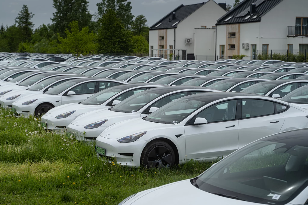 Elektryczne Tesle Model 3 opanowały spokojne osiedle