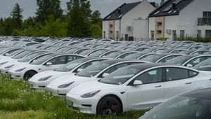 Elektryczne Tesle Model 3 opanowały spokojne osiedle