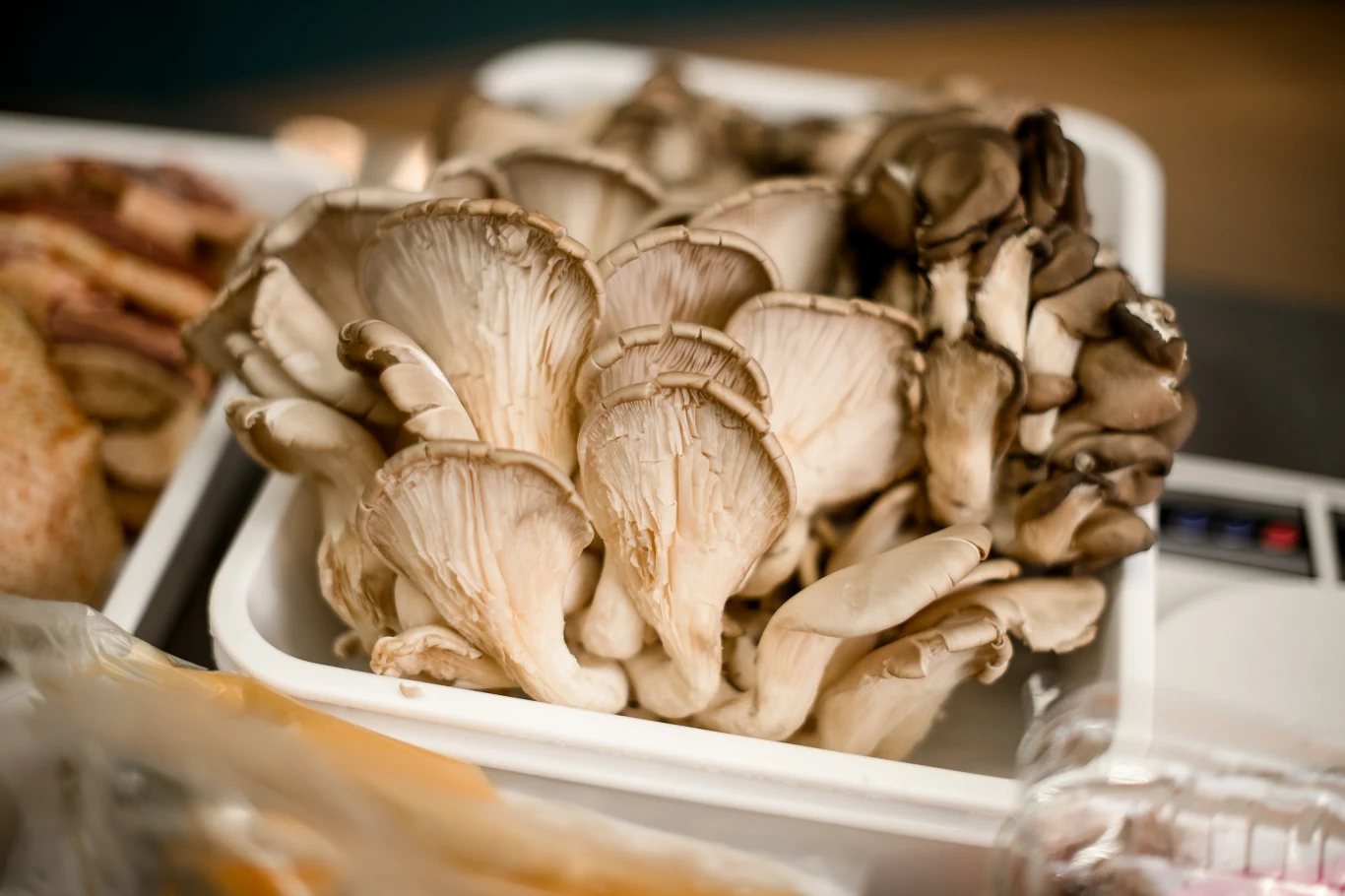 Boczniaki cechują się bardzo delikatnym smakiem