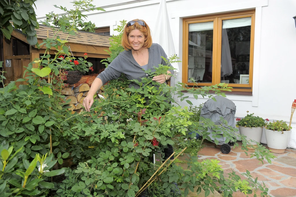 Katarzyna Dowbor w domu Katarzyna Dowbor w domu