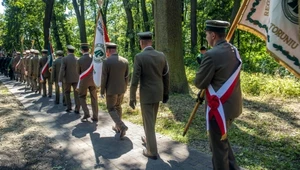 Raport Pracowni na rzecz Wszystkich Istot ujawnia, że w 2021 r. Lasy Państwowe osiągnęły 10 mld zł przychodu i 700 mln zł zysku netto (zdj. ilustracyjne)