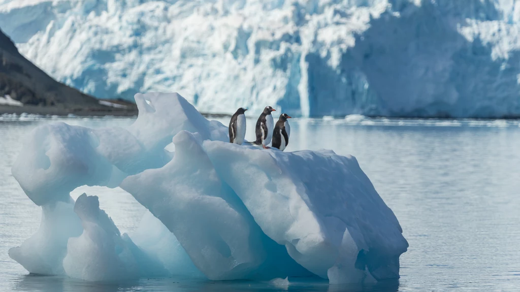 Naukowcy odkryli zaskakujący proces zachodzący na Antarktydzie Zachodniej. Okazuje się, że mimo topnienia lodowców ląd pod nimi zaczyna się wznosić niczym piankowy materac