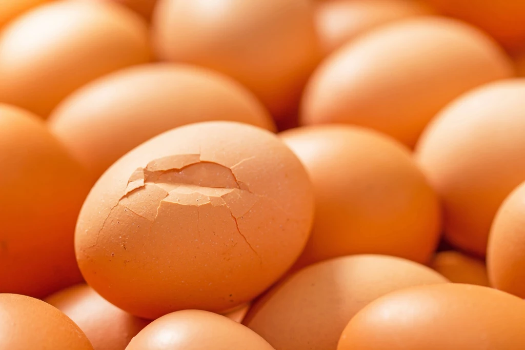 Zjedzenie jajka, które miało uszkodzoną skorupkę, to prosta droga do bardzo poważnego zatrucia pokarmowego