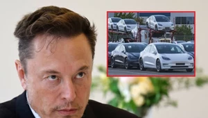 Muskowi puściły nerwy. Chce osobiście sprawdzać, kogo zatrudnia Tesla?