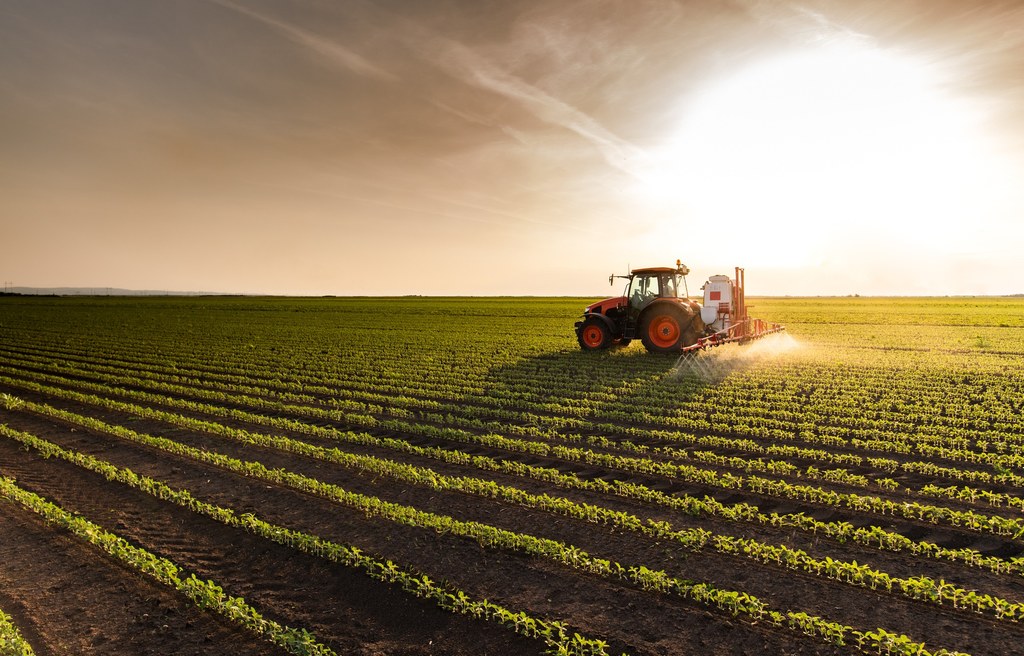 Połowa naszych kalorii pochodzenia roślinnego pochodzi z zaledwie trzech produktów spożywczych: pszenicy, kukurydzy i ryżu. 