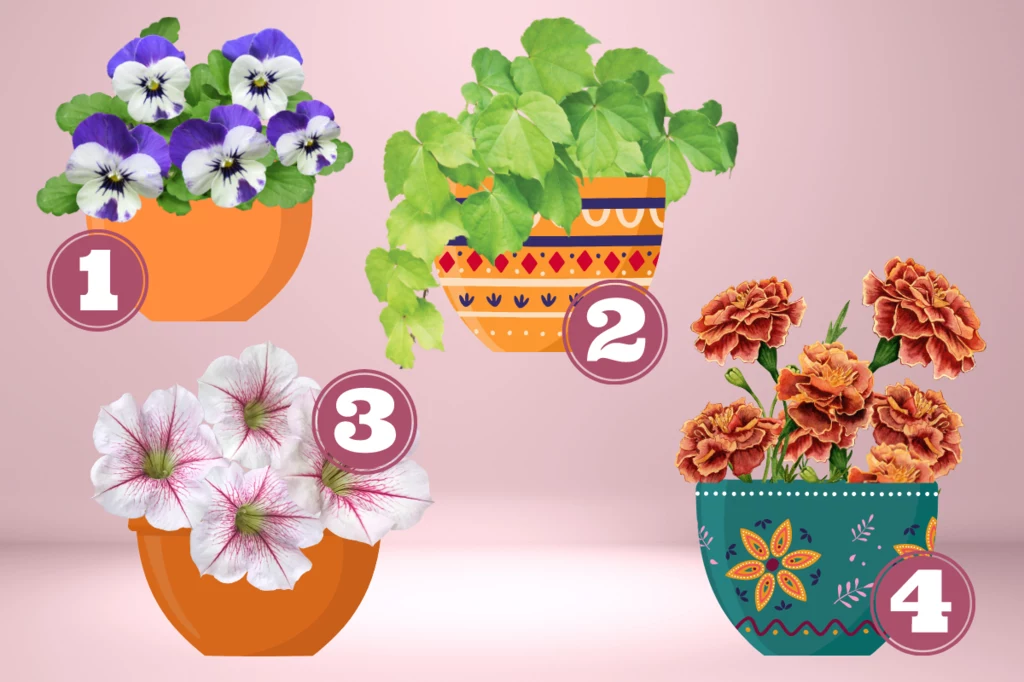 Które kwiaty balkonowe są dla ciebie najpiękniejsze? Odpowiedź zdradzi twoje największe pragnienia