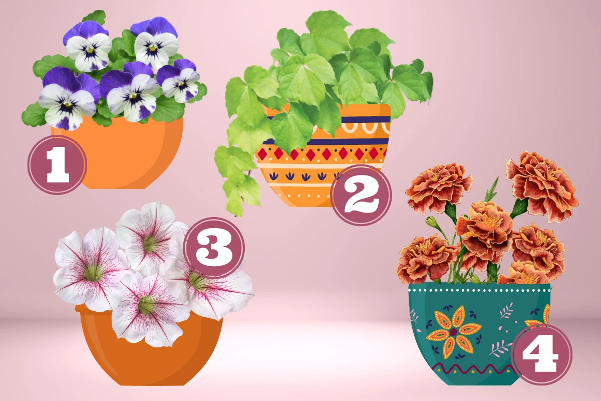 Które kwiaty balkonowe są dla ciebie najpiękniejsze? Odpowiedź zdradzi twoje największe pragnienia Które kwiaty balkonowe są dla ciebie najpiękniejsze? Odpowiedź zdradzi twoje największe pragnienia