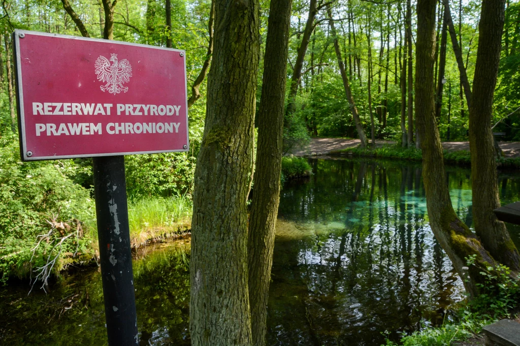 Rezerwat przyrody to obszar chroniony. W Polsce mamy istnieje obecnie 1517 rezerwatów przyrody