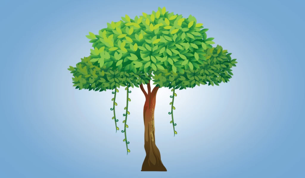 Zielone drzewo