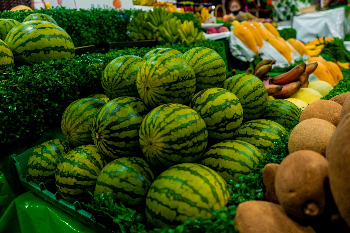 Zamiast kupować arbuzy w sklepach, spróbuj wyhodować je samodzielnie