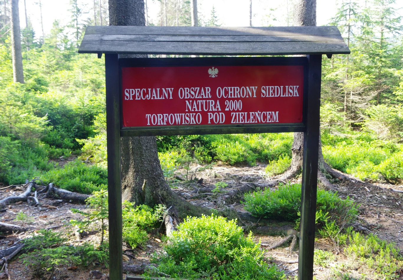 Obszar chroniony Natura 2000