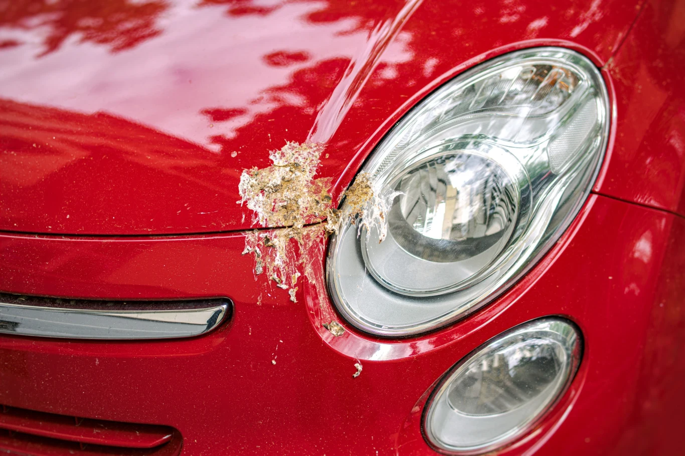 Ptasi "kleks" na samochodzie może uszkodzić lakier, zwłaszcza w gorące dni