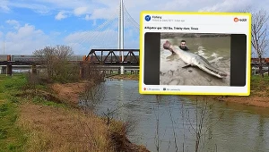 Wędkarz złowił niezwykły okaz ryby w Teksasie