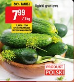 Ogórki