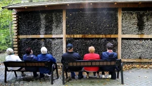 Tężnie solankowe, jakie możemy znaleźć w wielu miastach, mają za zadanie odwzorować zdrowy, nadmorski klimat 