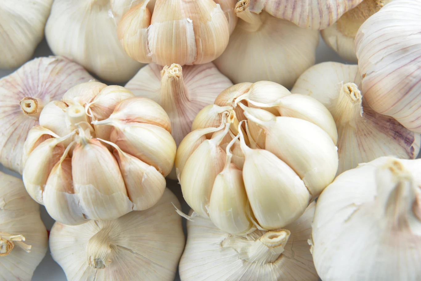 Świeżo zgnieciony czosnek jest świetnym źródłem związków o charakterze przeciwrakowym. Jakie jeszcze produkty działają przeciwrakowo?