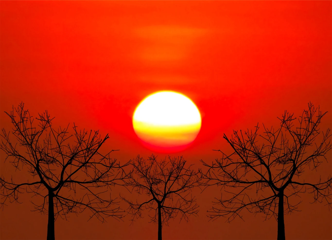 Ryzyko przekroczenia o 1,5 stopnia średniej globalnej temperatury wynosi obecnie 66 proc. 