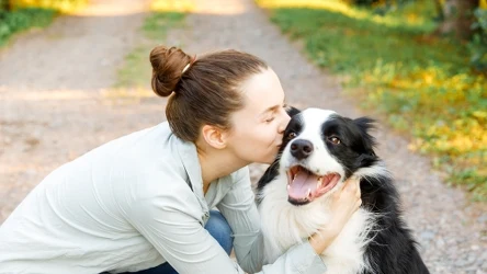 Psy to zwierzęta towarzyszące człowiekowi od tysięcy lat. Czego o nich nie wiemy?
