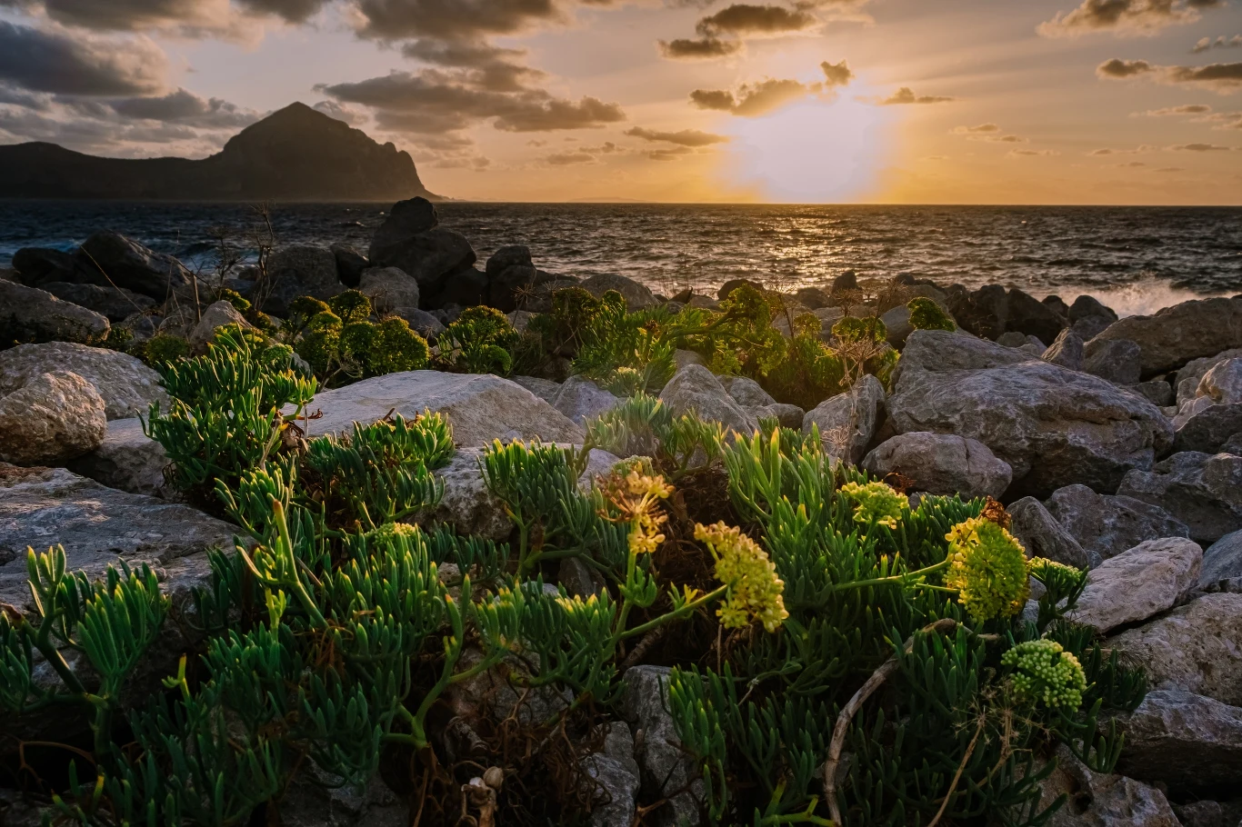 San Vito Io Capo zachwyca pięknymi plażami i naturą wokół San Vito Io Capo zachwyca pięknymi plażami i naturą wokół