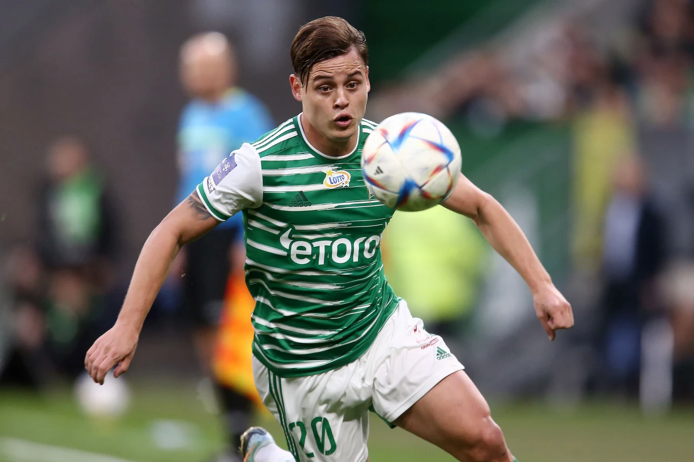 Conrado Buchanelli Holz