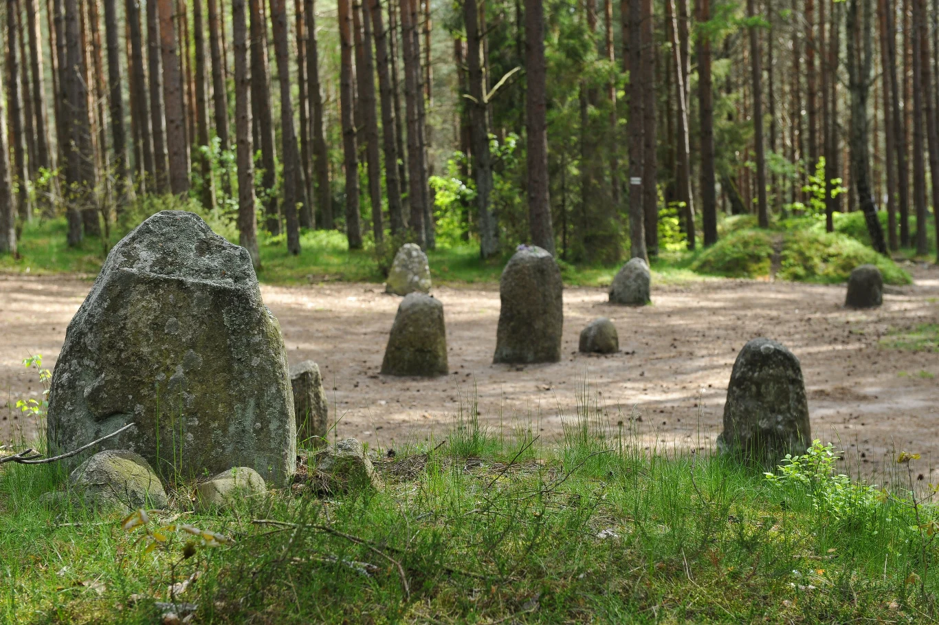 Kamienne kręgi w Węsiorach Kamienne kręgi w Węsiorach