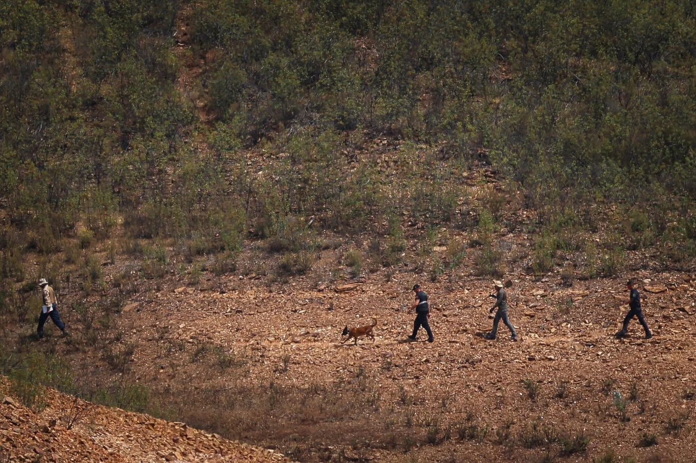 Policyjna akcja w pobliżu Silves w Portugalii