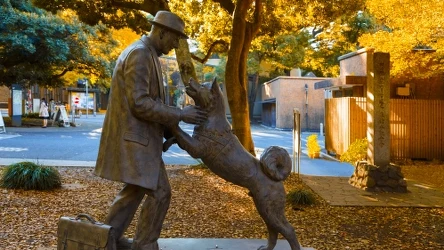 Hachiko to wyjątkowo wierny pies, który czekał na swojego właściciela nawet po jego śmierci