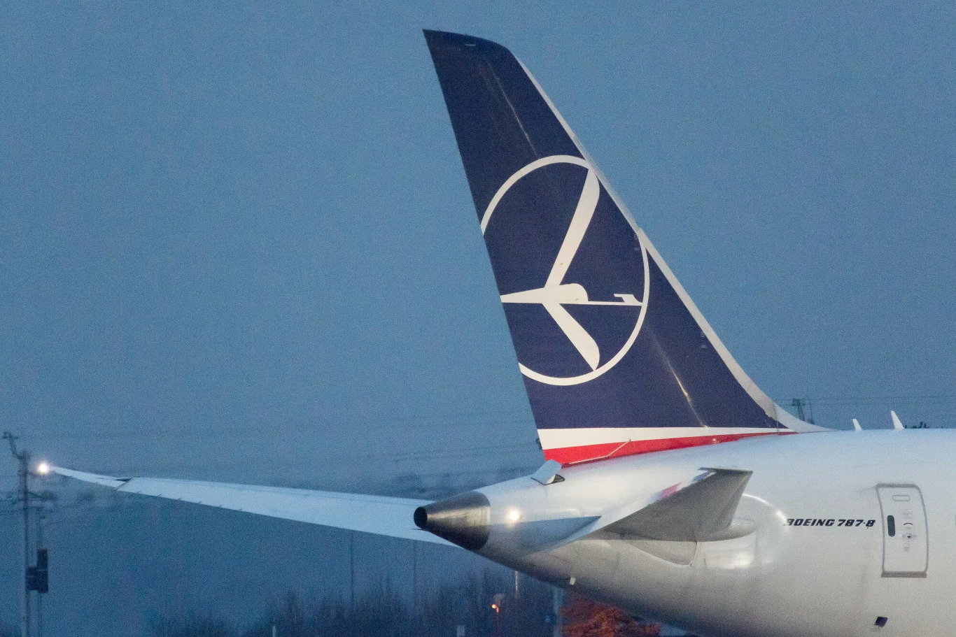 Samolot Boeing 787 Dreamliner linii lotniczych LOT. Samolot Boeing 787 Dreamliner linii lotniczych LOT.