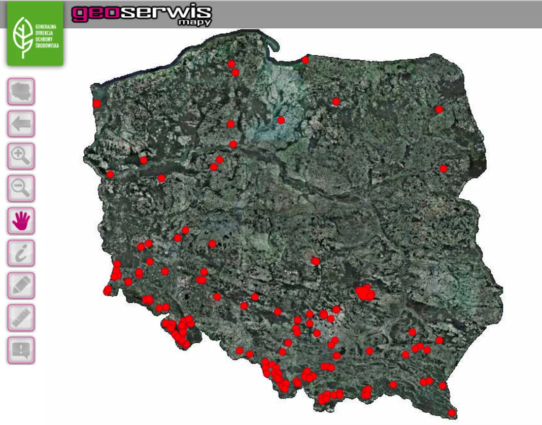Mapa stanowisk występowania barszczu Mantegazziego na terenie Polski.