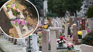 Na jednym z poznańskich cmentarzy złodzieje ukradli drewniany krzyż oraz obramowanie grobu. Sytuację opisała córka zmarłej