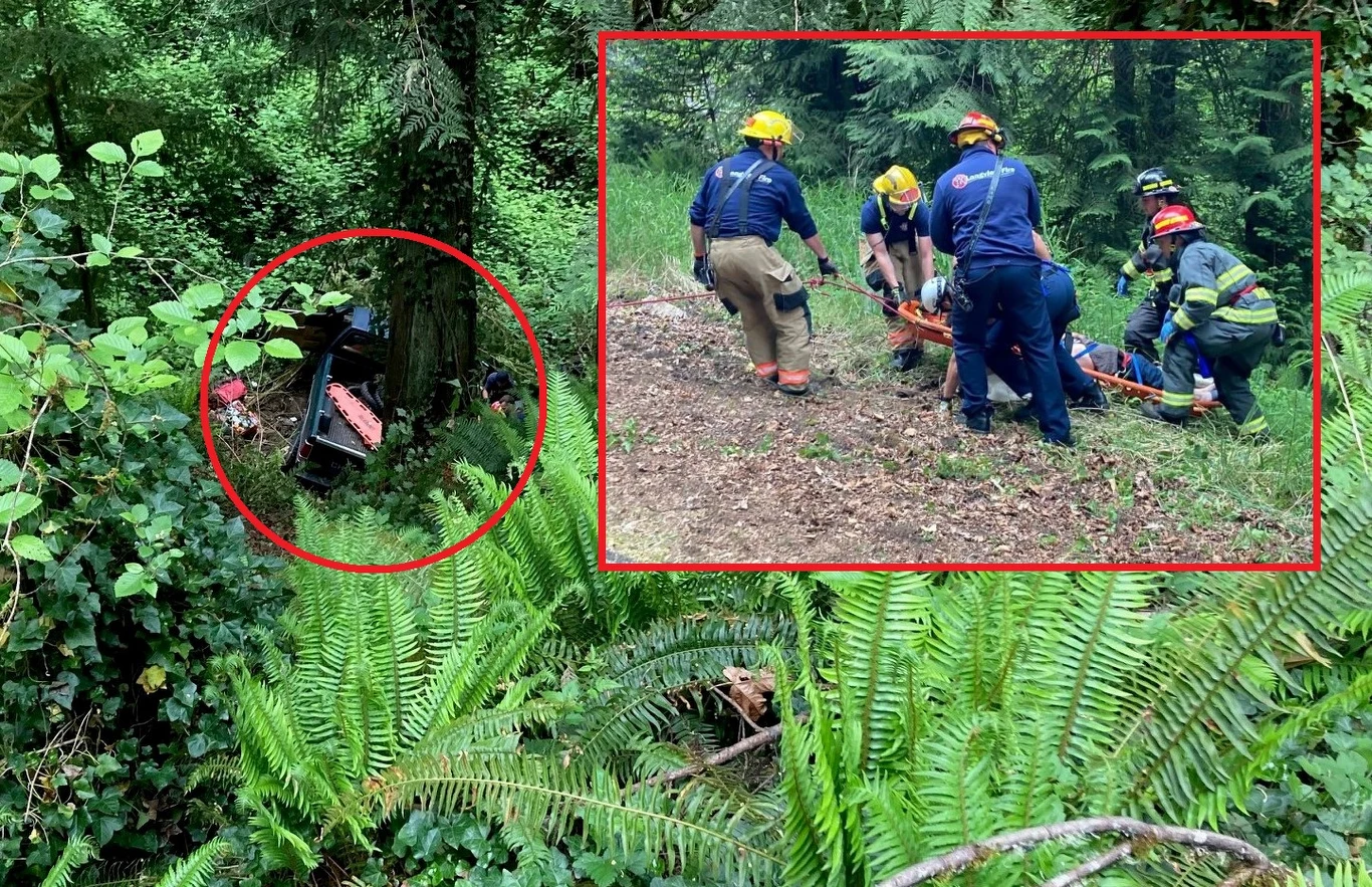 Kierowca pickupa zjechał na dno 45-metrowego wąwozu. Spędził tam pięć dni, zanim go odnaleziono Kierowca pickupa zjechał na dno 45-metrowego wąwozu. Spędził tam pięć dni, zanim go odnaleziono