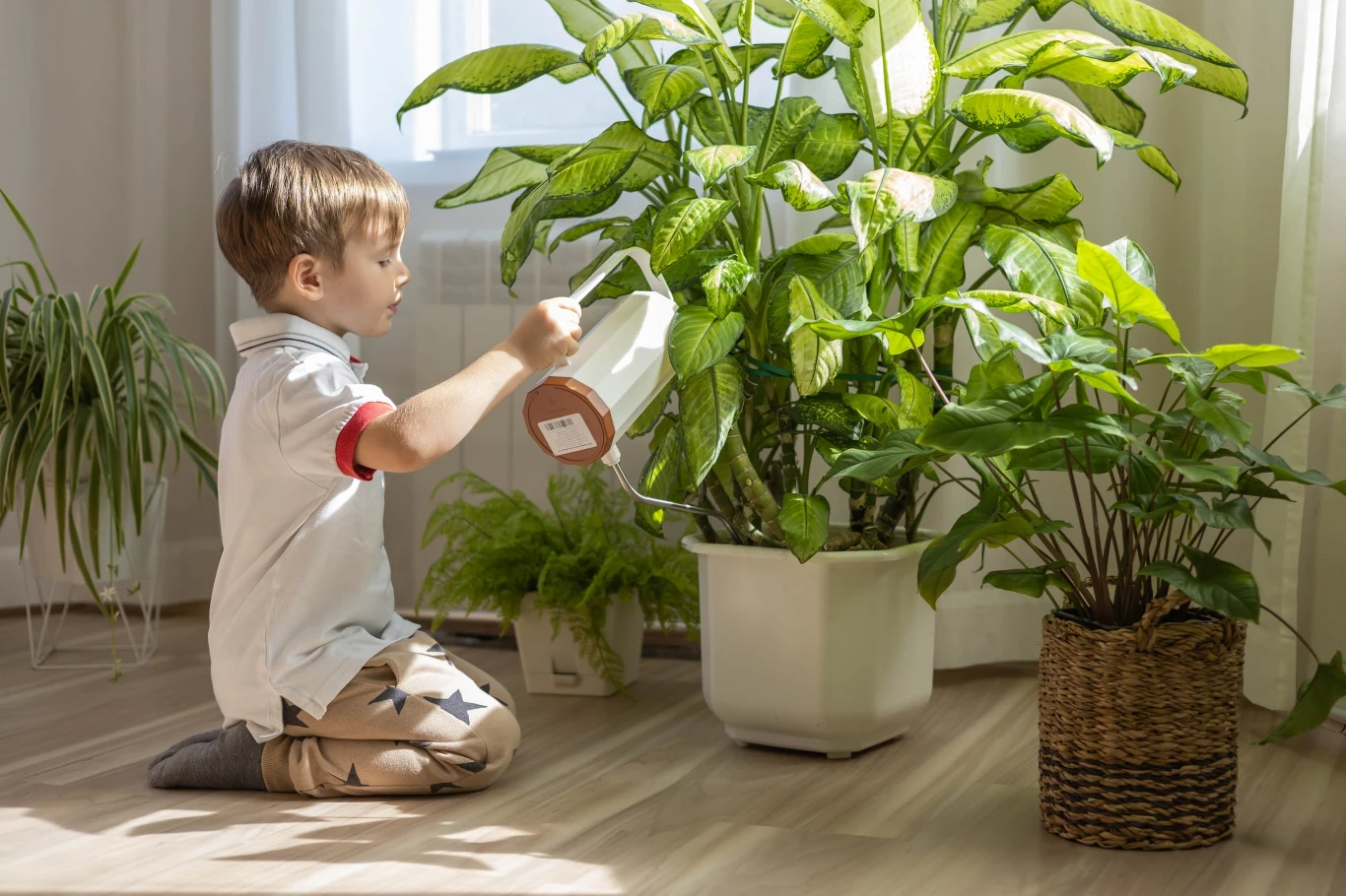 Jakie rośliny doniczkowe będą najlepsze do pokoju dziecka? Jakie rośliny doniczkowe będą najlepsze do pokoju dziecka?