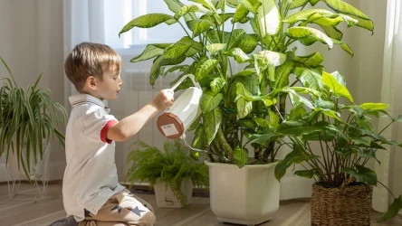 Jakie rośliny doniczkowe będą najlepsze do pokoju dziecka?