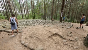 Zagadkowe miejsce na mapie Polski. Las na Kaszubach skrywa tajemniczy krąg