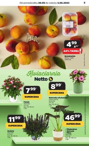 Dzień Dziecka z Netto! 