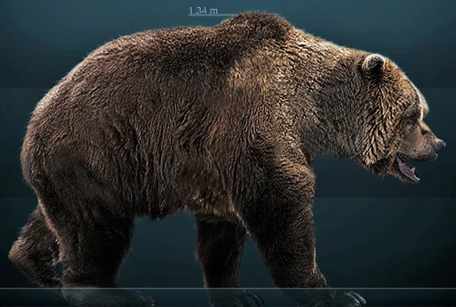 Rekonstrukcja wielkiego niedźwiedzia jaskiniowego