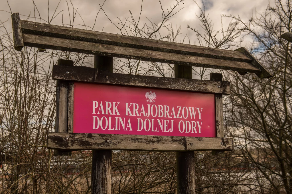 Park Krajobrazowy Dolina Dolnej Odry znajduje się w Gryfinie