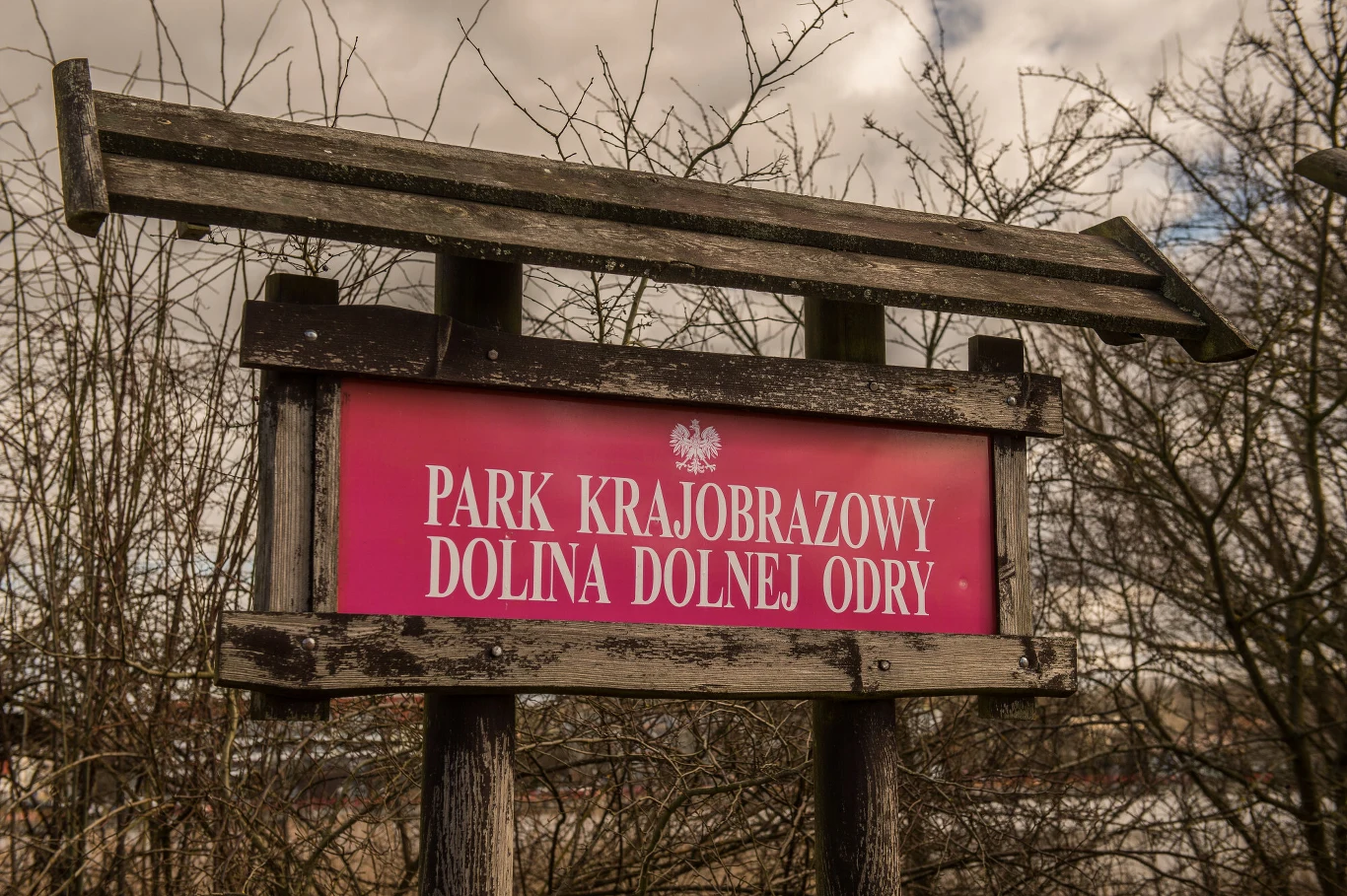 Park Krajobrazowy Dolina Dolnej Odry znajduje się w Gryfinie Park Krajobrazowy Dolina Dolnej Odry znajduje się w Gryfinie