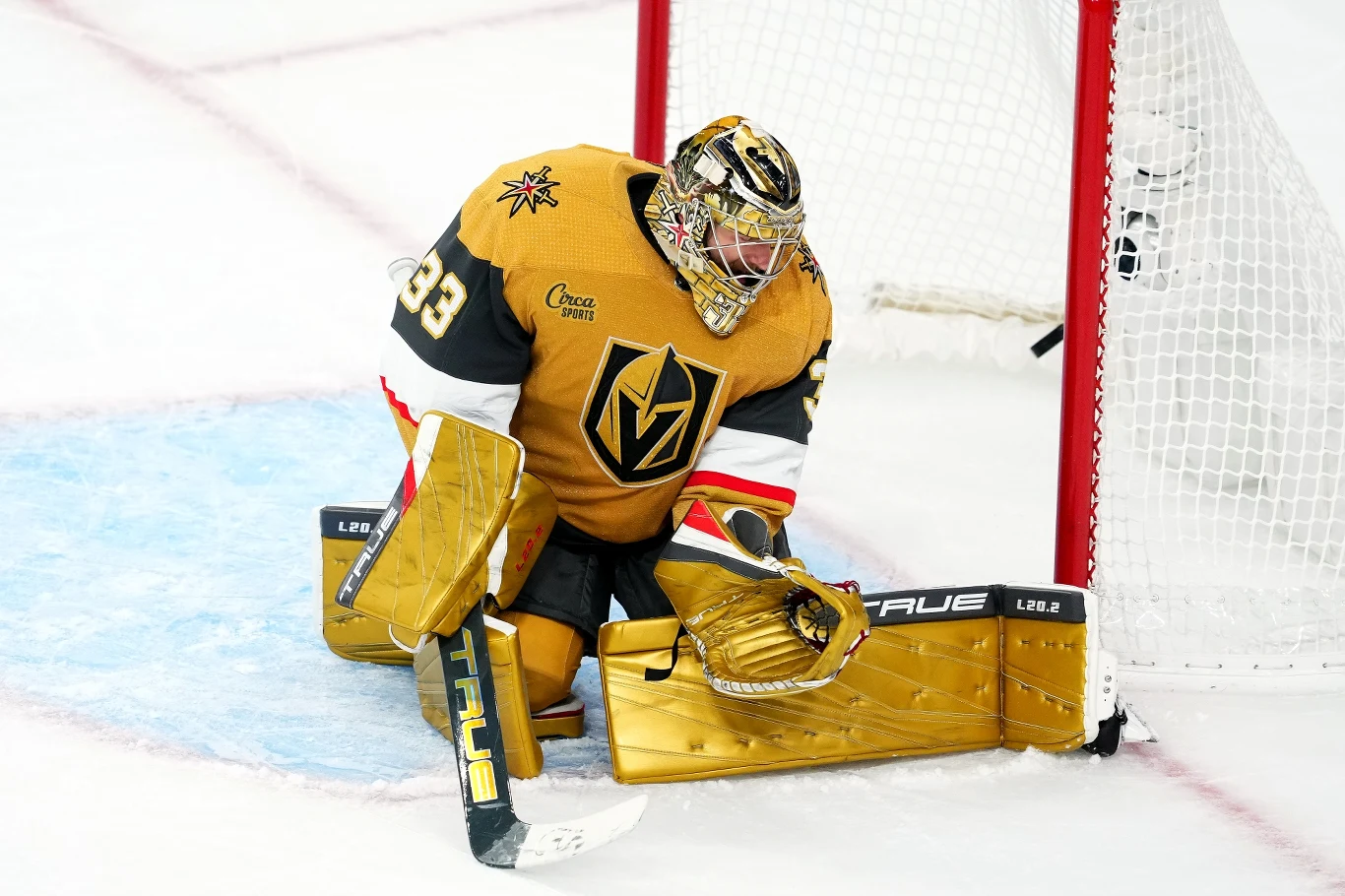 Adin Hill, bramkarz Vegas Golden Knights
