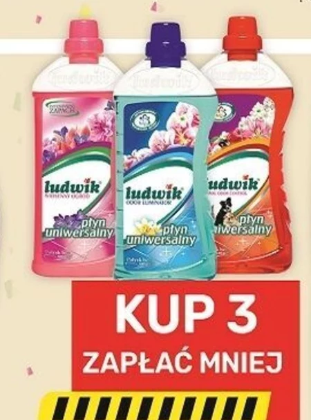 Ludwik Płyn uniwersalny wiosenny ogród 1 l