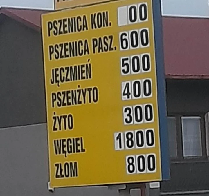 Ceny zbóż; zdjęcie od rolnika Ceny zbóż; zdjęcie od rolnika