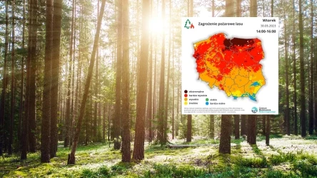 Z powodu słonecznej pogody i braku opadów deszczu w całym kraju rośnie zagrożenie pożarowe lasu