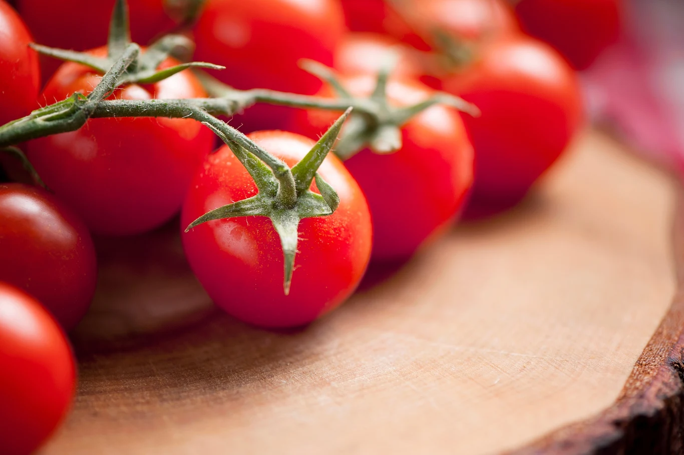 Oprysk z czosnkiem na pomidory to sprawdzony sposób na pielęgnację warzyw Oprysk z czosnkiem na pomidory to sprawdzony sposób na pielęgnację warzyw