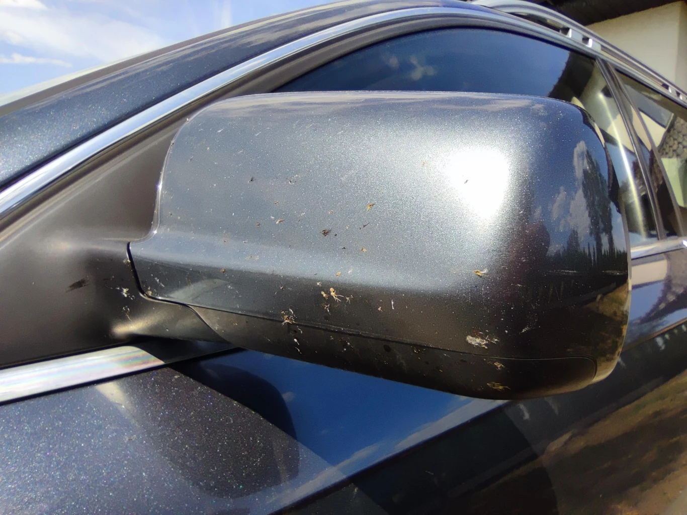 Po dłuższym czasie owady zasychają na karoserii i trudniej je zmyć