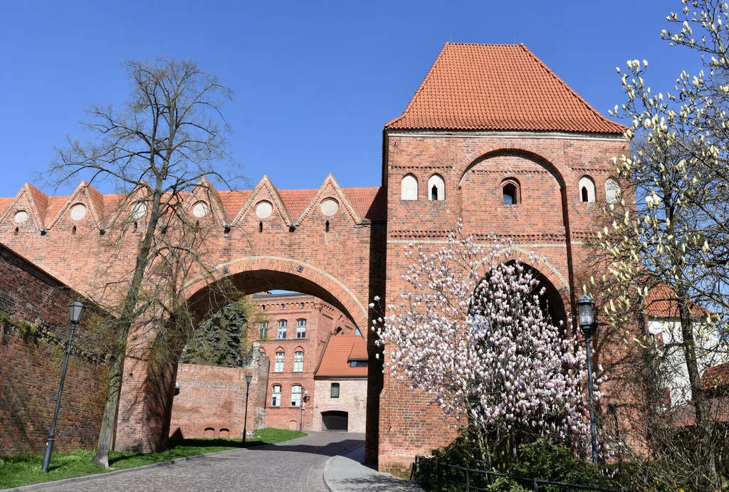 Turyści z zagranicy zwrócili w Toruniu uwagę m.in. na gotycki zamek krzyżacki Turyści z zagranicy zwrócili w Toruniu uwagę m.in. na gotycki zamek krzyżacki